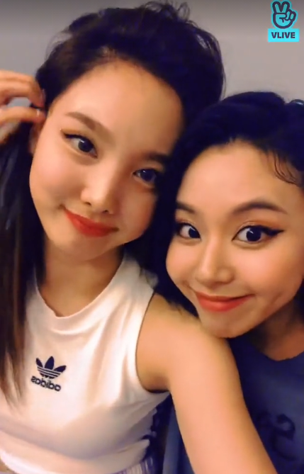 68747470733a2f2f696d672e776174747061642e636f6d2f73746f72795f70617274732f313038353332343632392f696d616765732f313638383865326365303561356665353531373134353631353438372e706e67